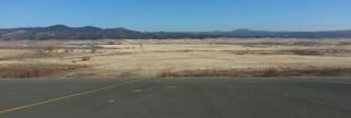 Folsom Lake Crop